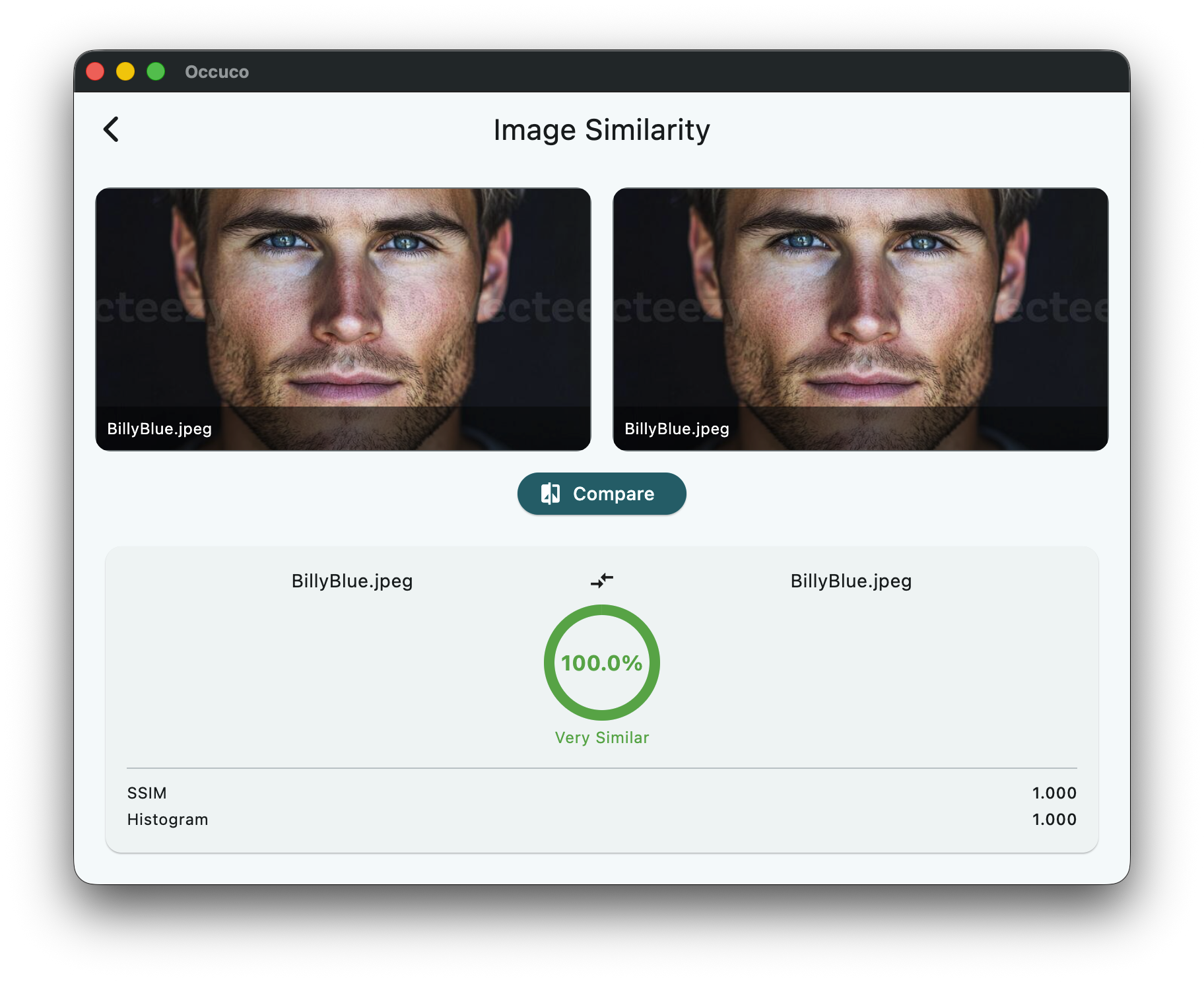 Similarity Analysis